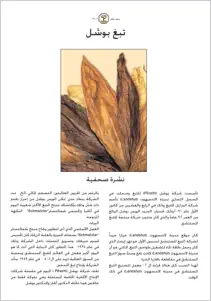 Pressemitteilung Arabisch Dubai